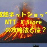 NTTストア　NTT-X　X-day　せどり　電脳